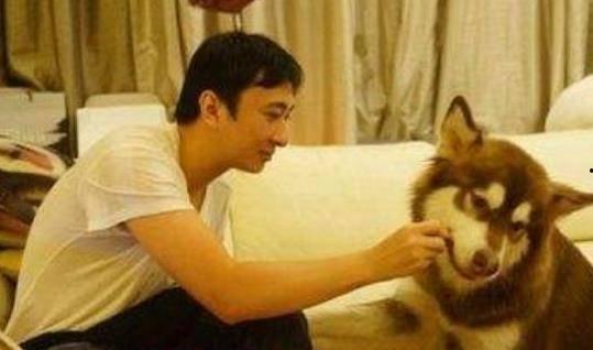 娱乐圈吃瓜爆料王思聪,娱乐圈吃瓜爆料界的风云人物