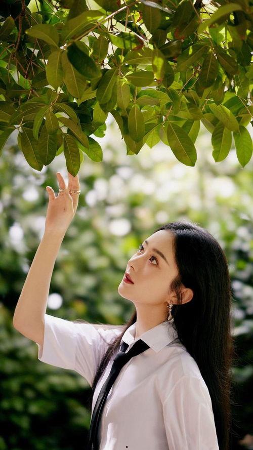 娱乐圈吃瓜50条