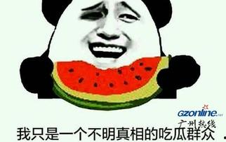 网络吃瓜啥意思是什么,揭秘虚拟世界中的围观文化