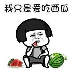 你吃娱乐圈的瓜吗